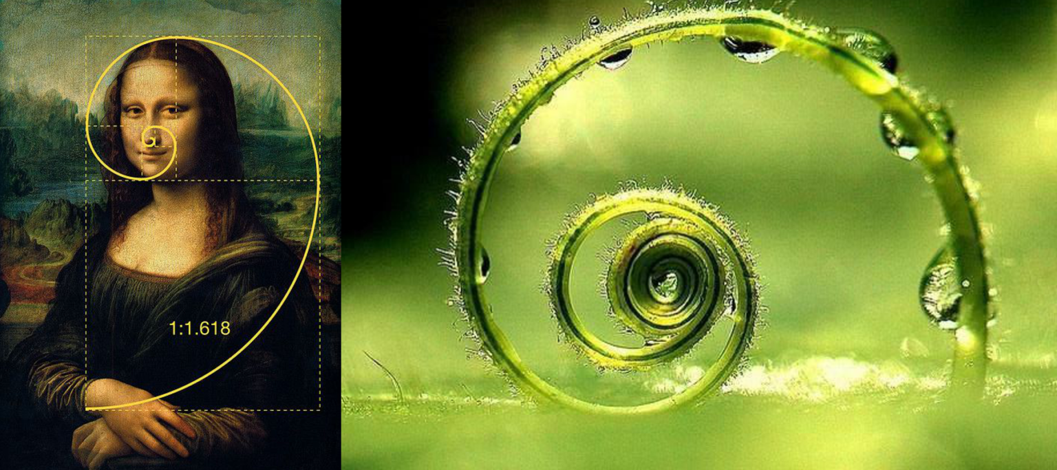 Proporzione Divina proporzione divina