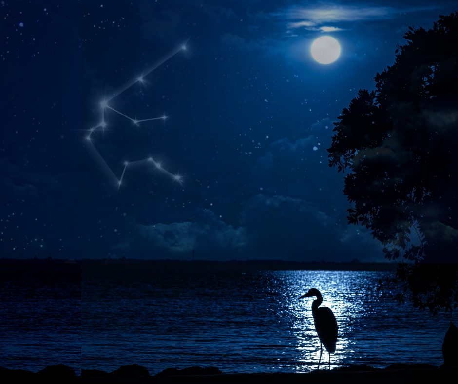 Aspettando la Luna Piena aspettando la luna piena